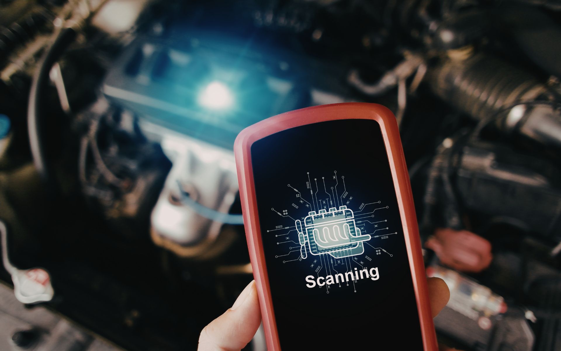 isle voyage lanka- Experiences -4 (5)